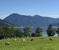 Der Tegernsee - Foto von Gerlind Schiele Photography Tegernsee